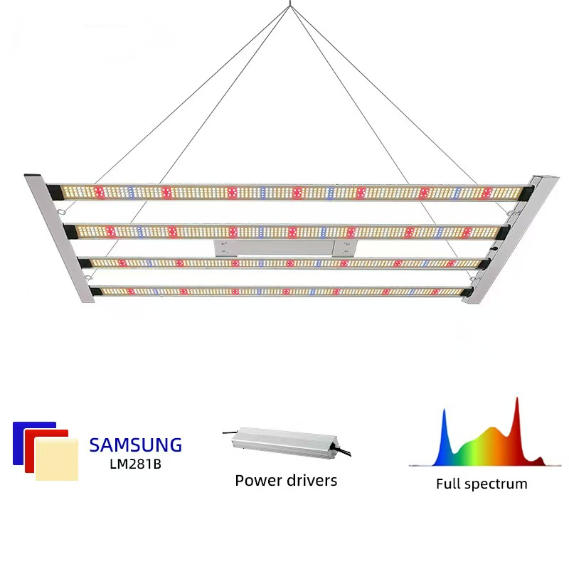 868b7f81ea84a6ed3d6ddc04482d189(1).png